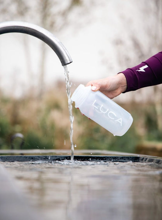Essential Water Bottle