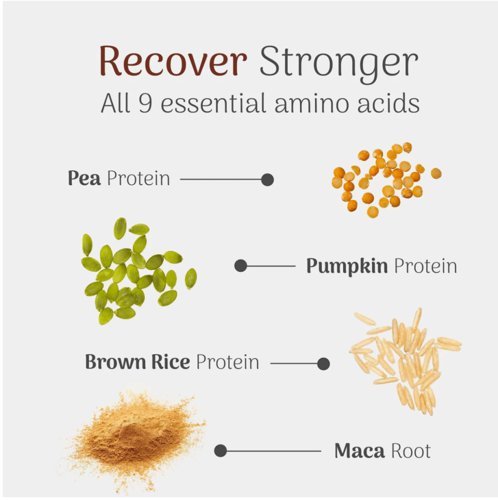 Visual representation of various protein sources including pea protein, pumpkin protein, brown rice protein, and maca root, highlighting their contributions to muscle recovery.